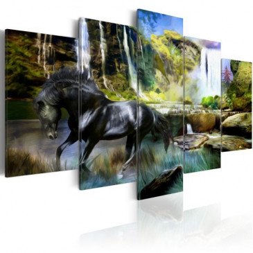 Tableau Cheval noir sur fond de Cascade Paradis  | cosy-home-design.fr