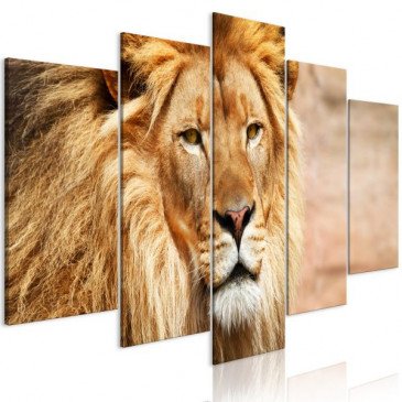 Tableau The King of Beasts 5 Pièces Wide Orange  | cosy-home-design.fr