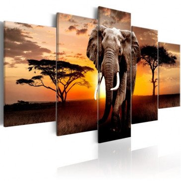 Tableau Elephant Migration  | cosy-home-design.fr