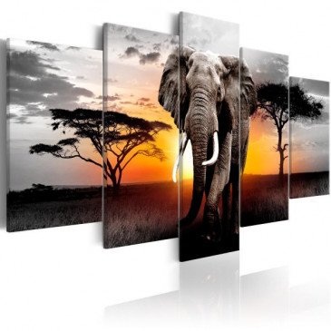 Tableau Elephant at Sunset  | cosy-home-design.fr