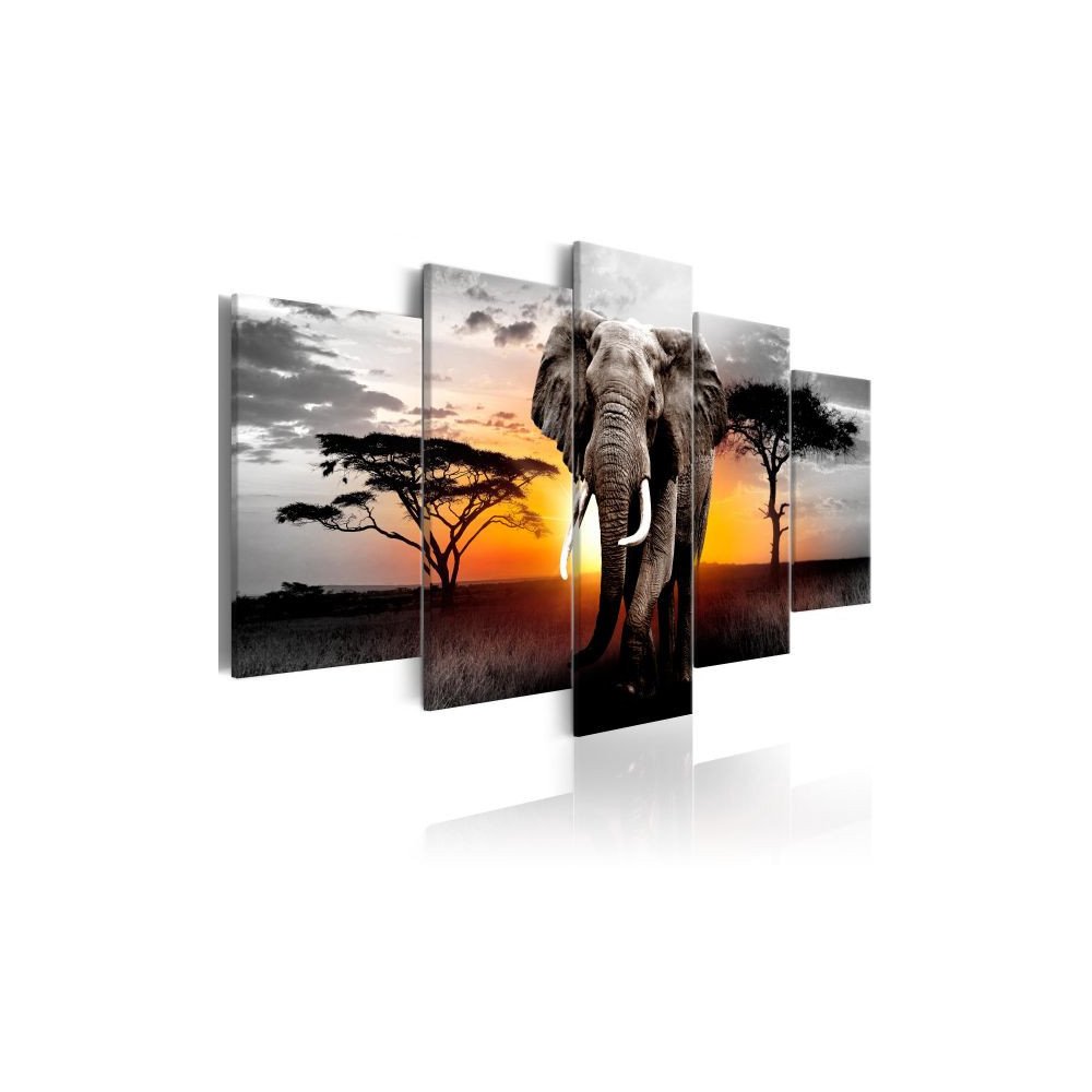 Tableau Elephant at Sunset  | cosy-home-design.fr