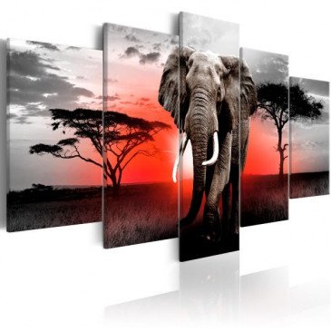 Tableau Lonely Elephant  | cosy-home-design.fr