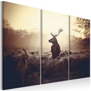 Tableau Lurking Deer I  | cosy-home-design.fr