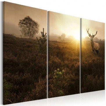 Tableau Foggy Field I  | cosy-home-design.fr