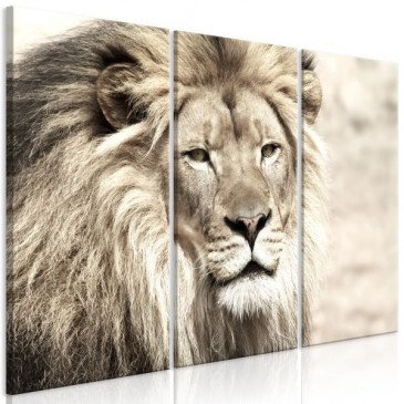 Tableau The King of Beasts 3 Pièces Beige  | cosy-home-design.fr