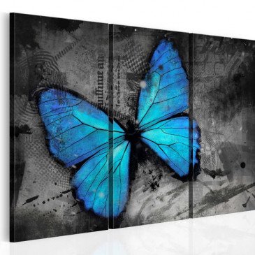 Tableau Etude d'un papillon - triptyque  | cosy-home-design.fr