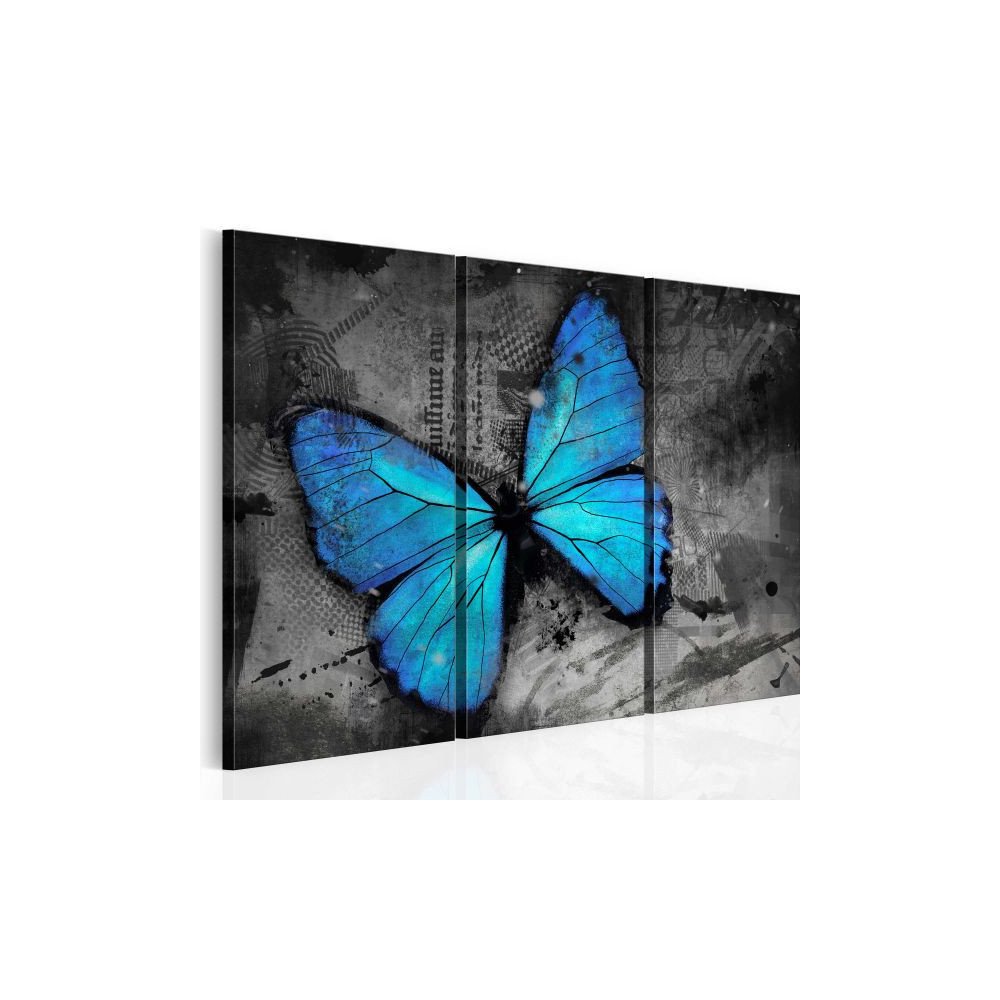 Tableau Etude d'un papillon - triptyque  | cosy-home-design.fr