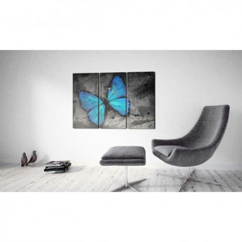 Tableau Etude d'un papillon - triptyque  | cosy-home-design.fr