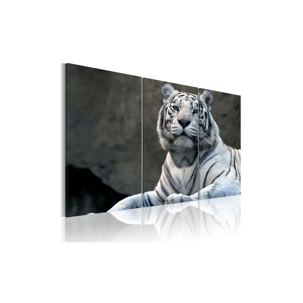 Tableau Tigre blanc  | cosy-home-design.fr