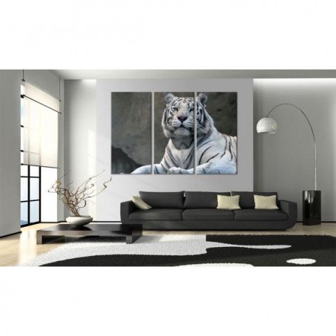 Tableau Tigre blanc  | cosy-home-design.fr