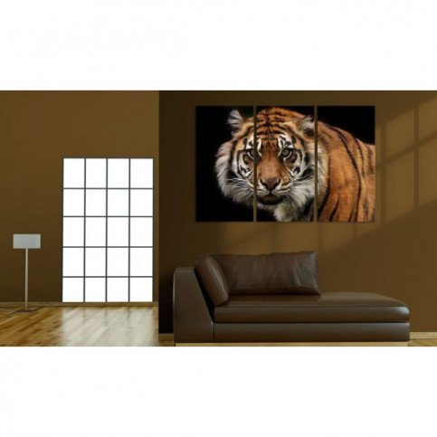 Tableau Tigre prédateur  | cosy-home-design.fr