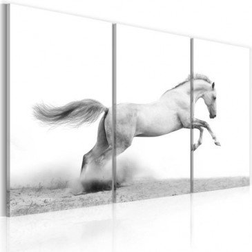 Tableau Cheval au galop  | cosy-home-design.fr