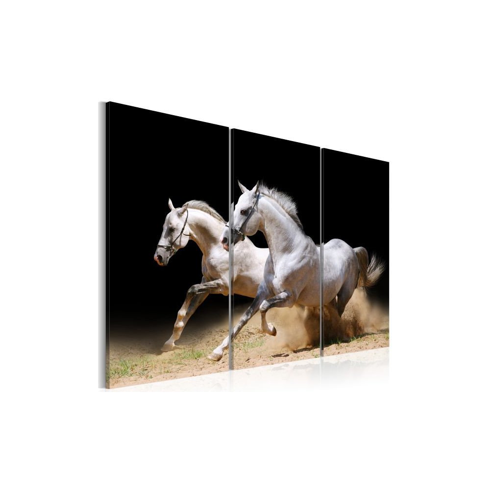 Tableau chevaux - force et dynamique  | cosy-home-design.fr