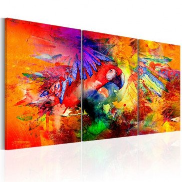 Tableau Colourful Parrot  | cosy-home-design.fr