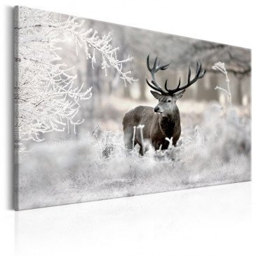 Tableau Lonely Deer  | cosy-home-design.fr