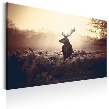 Tableau Lurking Deer  | cosy-home-design.fr