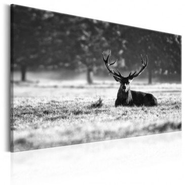 Tableau Lying Deer  | cosy-home-design.fr