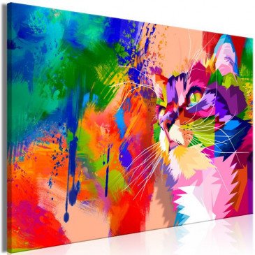 Tableau Colourful Cat 1 Pièce Wide  | cosy-home-design.fr