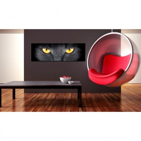 Tableau Look into my eyes...  | cosy-home-design.fr