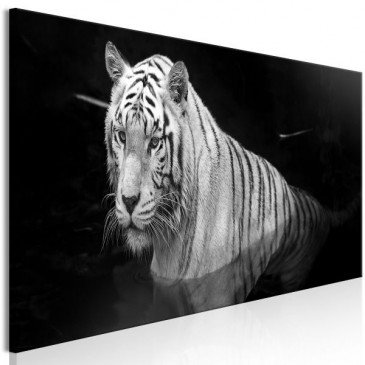 Tableau Shining Tiger 1 Pièce Black and White Narrow  | cosy-home-design.fr