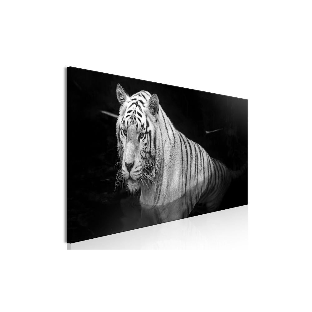 Tableau Shining Tiger 1 Pièce Black and White Narrow  | cosy-home-design.fr