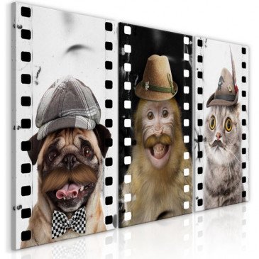 Tableau Funny Pets Collection  | cosy-home-design.fr