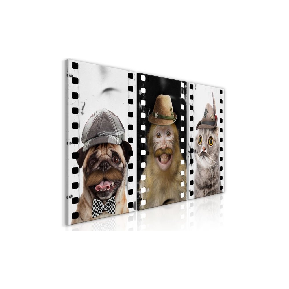 Tableau Funny Pets Collection  | cosy-home-design.fr