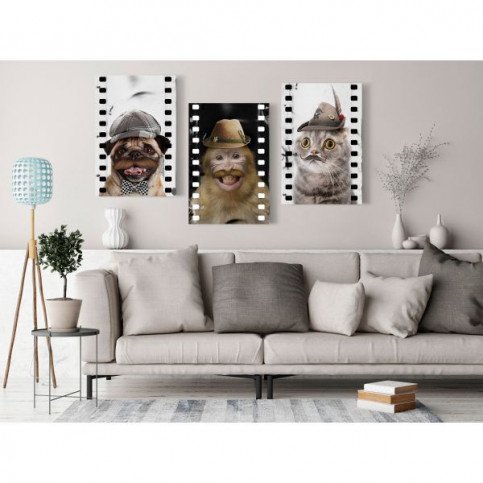 Tableau Funny Pets Collection  | cosy-home-design.fr