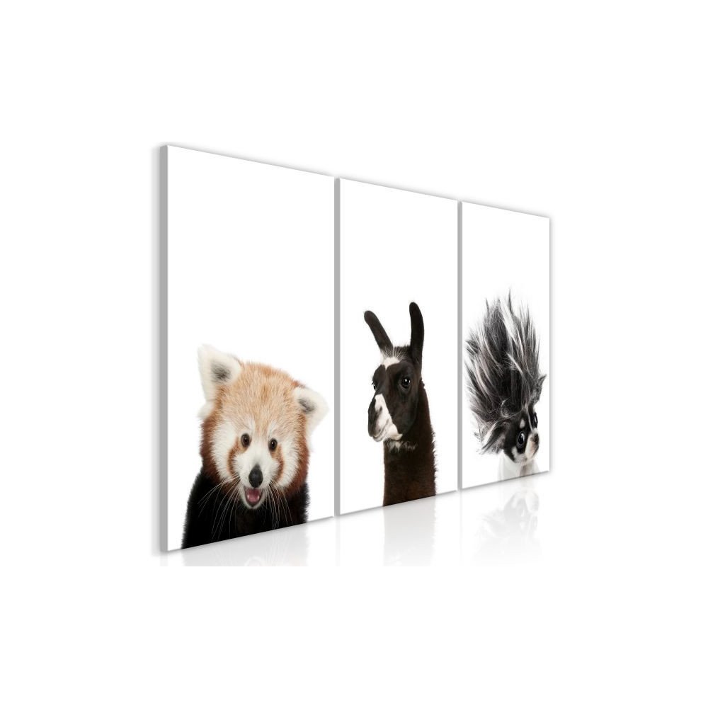 Tableau Friendly Animals Collection  | cosy-home-design.fr