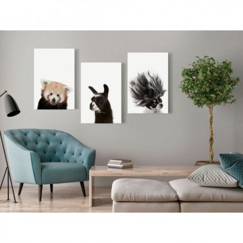 Tableau Friendly Animals Collection  | cosy-home-design.fr