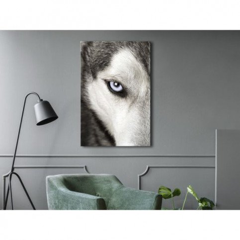 Tableau Dog's Look 1 Pièce Vertical  | cosy-home-design.fr