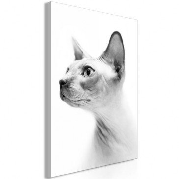 Tableau Hairless Cat 1 Pièce Vertical  | cosy-home-design.fr