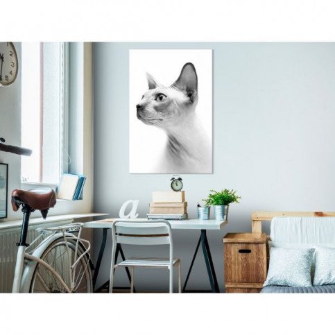 Tableau Hairless Cat 1 Pièce Vertical  | cosy-home-design.fr