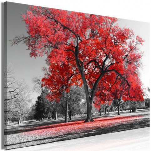 Tableau Autumn in the Park (1 Part) Wide Red  | cosy-home-design.fr