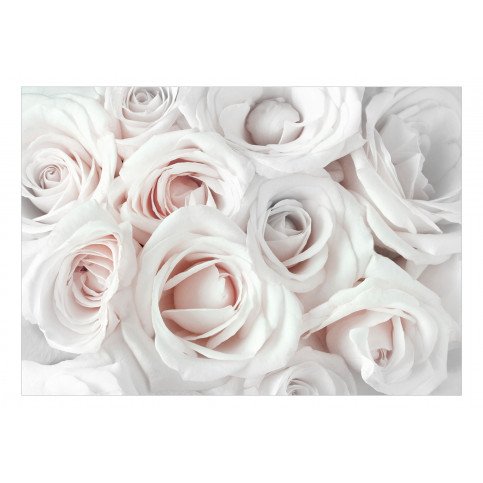 Papier peint - Satin Rose (Pink) 