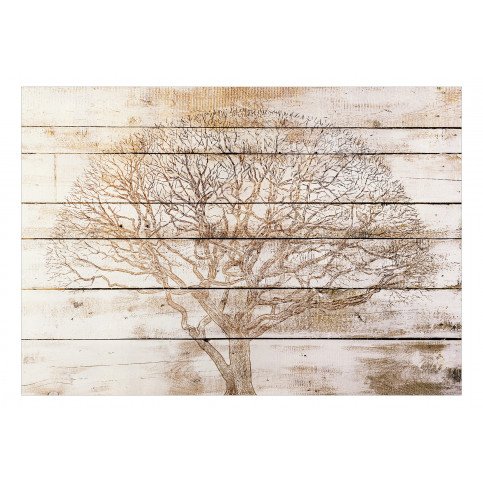 Papier peint - Tree on Boards 