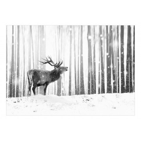 Papier peint adhésif - Deer in the Snow (Black and White) 