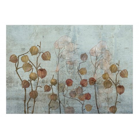 Papier peint adhésif - Painted Lunaria 