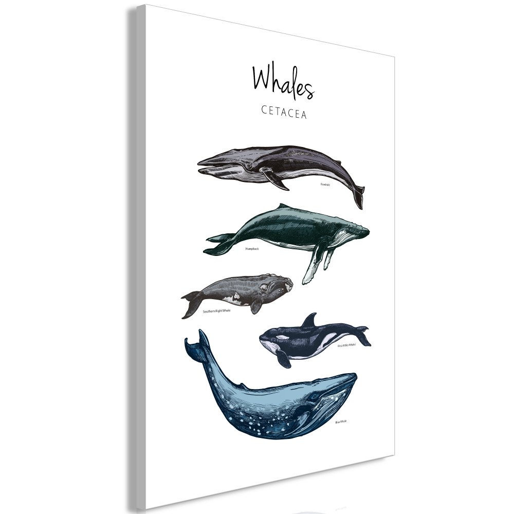 Tableau - Whales (1 Part) Vertical 